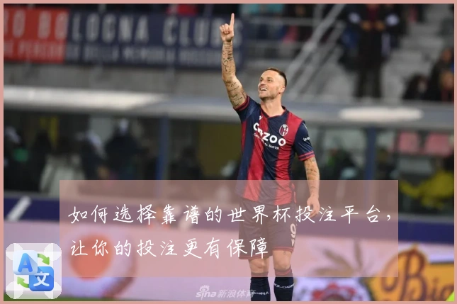 如何选择靠谱的世界杯投注平台，让你的投注更有保障