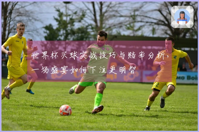 世界杯买球实战技巧与赔率分析，一场盛宴如何下注更明智