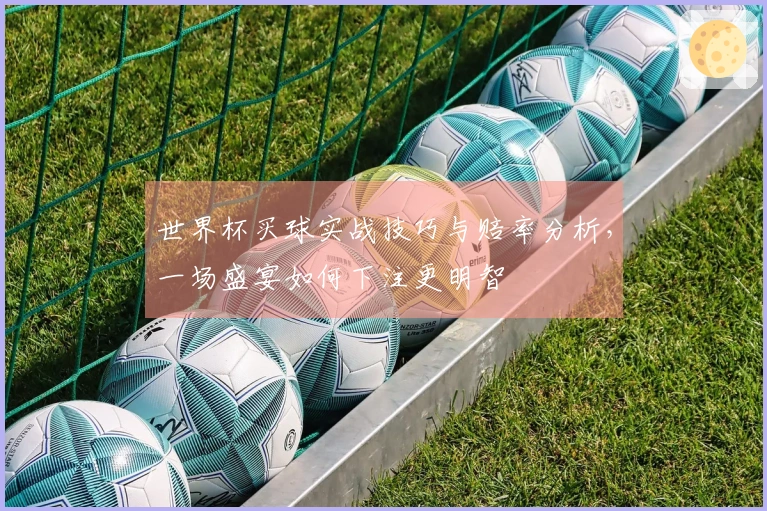 世界杯买球实战技巧与赔率分析,一场盛宴如何下注更明智