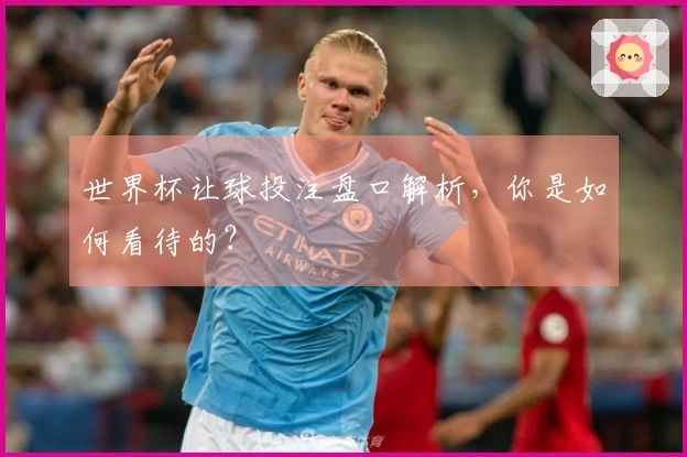 世界杯让球投注盘口解析，你是如何看待的？