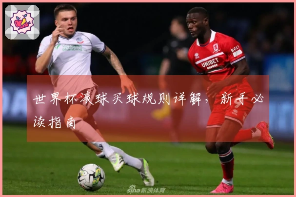 世界杯滚球买球规则详解，新手必读指南