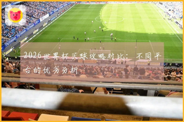 2026世界杯买球攻略对比：不同平台的优劣分析